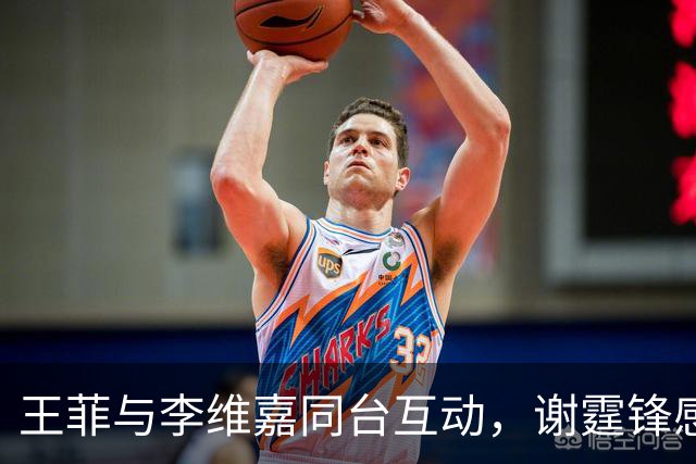王菲与李维嘉同台互动，谢霆锋感情状况引关注